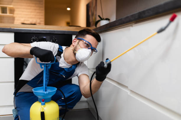 Pest Prevention Services in Maple Grove, MN