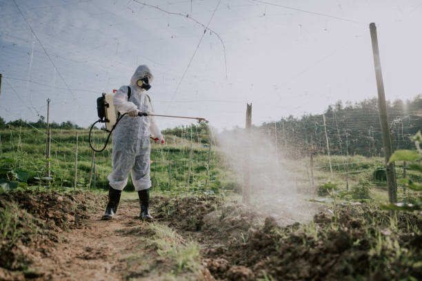 Best Commercial Pest Control Services  in Maple Grove, MN