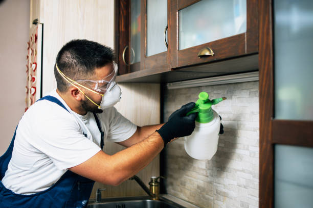 Best Best Pest Control Companies  in Maple Grove, MN