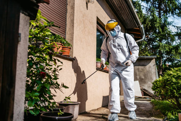 Best Best Pest Control Companies  in Maple Grove, MN