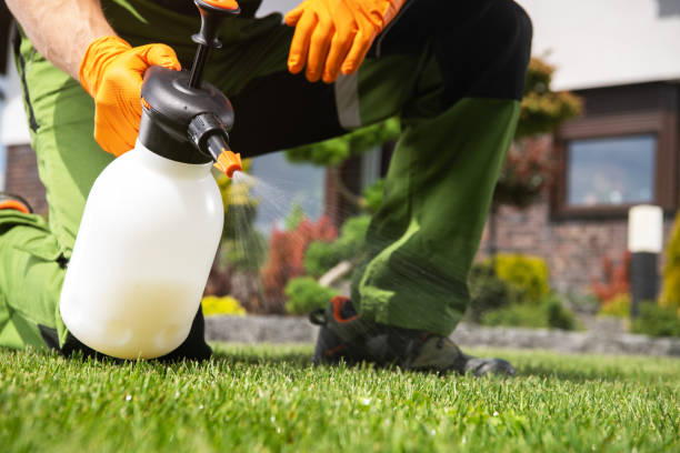 Best Pest Prevention Services  in Maple Grove, MN