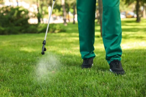 Bird Control in Maple Grove, MN