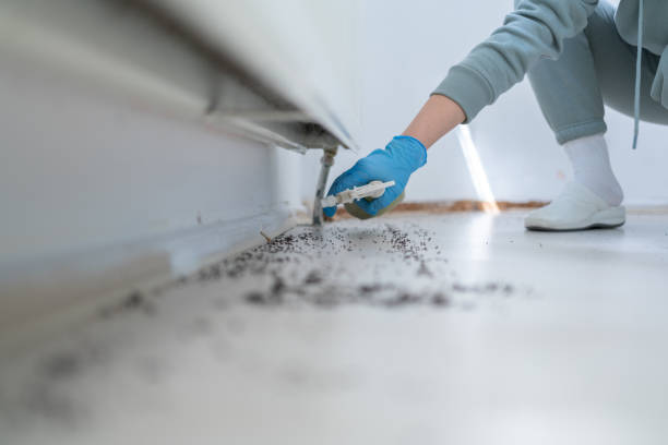 Best Cockroach Control Services  in Maple Grove, MN