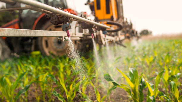 Professional Pest Control in Maple Grove, MN